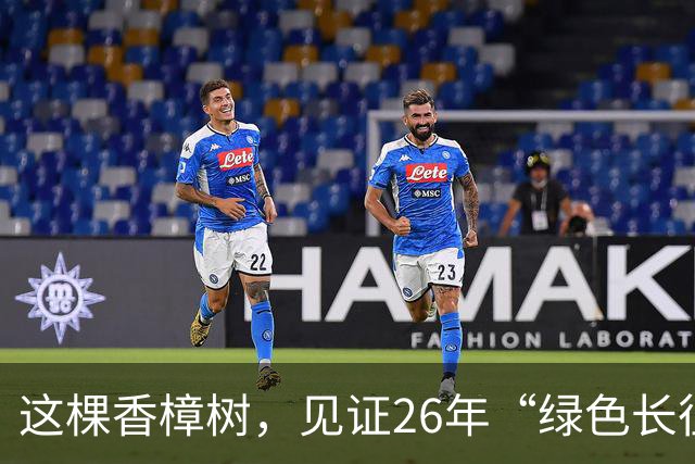 这棵香樟树，见证26年“绿色长征”